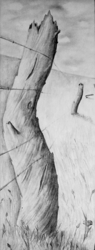 Fence Sketch by R Shockley